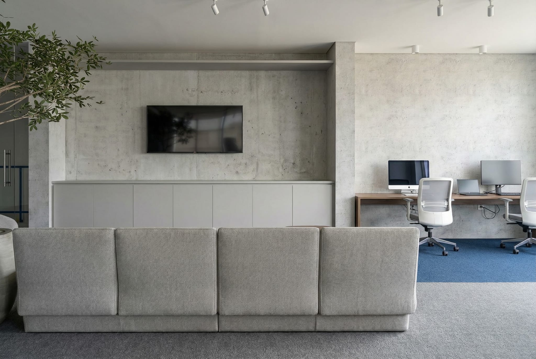 Sinapse Farma — Mostarda Studio